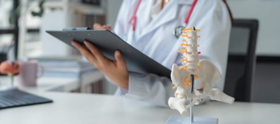 female-doctor-examining-spinal-model