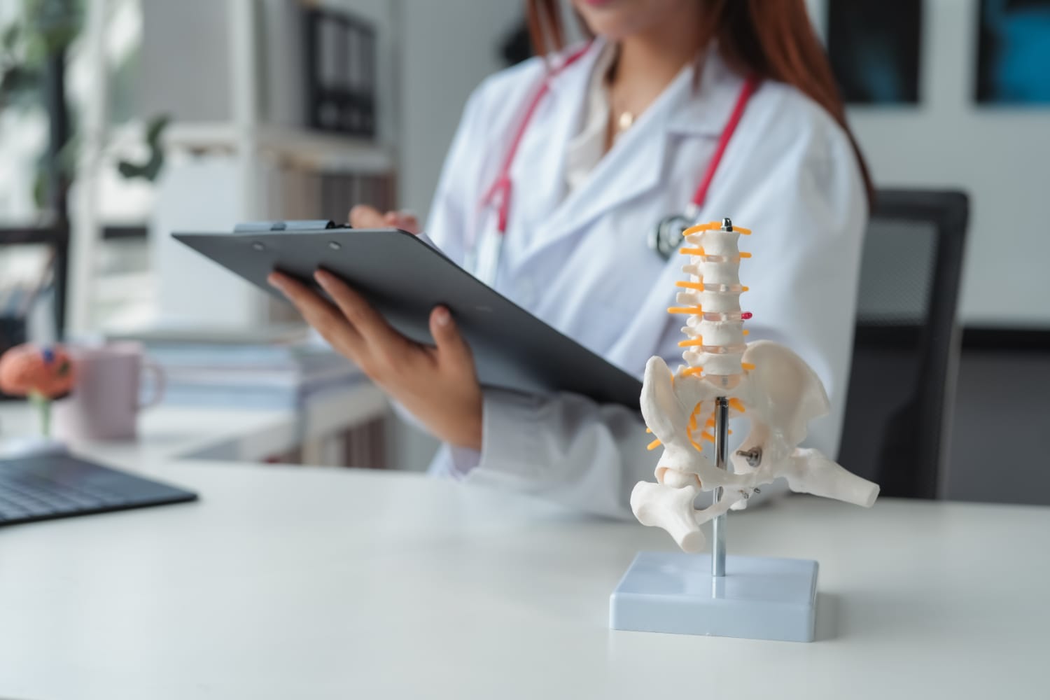 female-doctor-examining-spinal-model